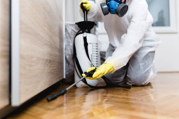 Best Wildlife Control Services  in Edgard, LA