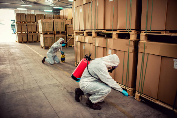 Best Emergency Pest Control  in Edgard, LA