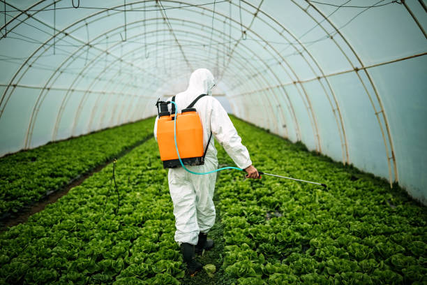 Pest Prevention Services in Edgard, LA