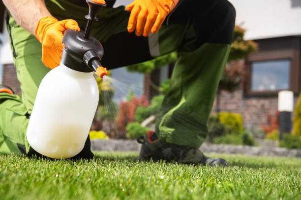 Professional Pest Control in Edgard, LA