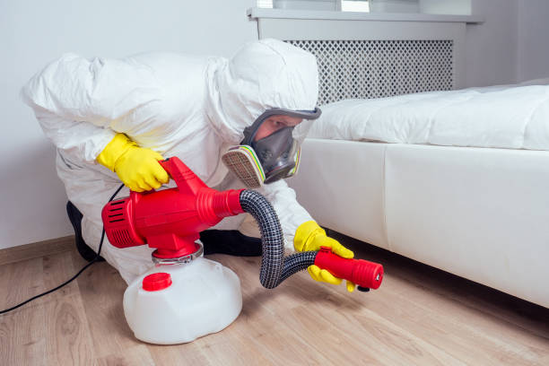 Best Local Pest Control Services  in Edgard, LA