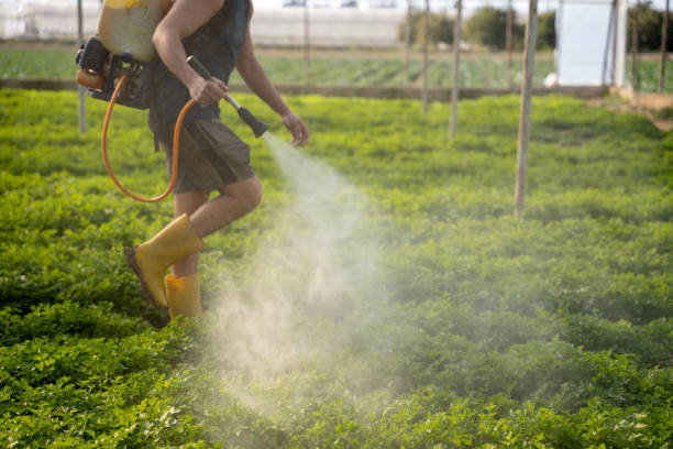 Best Commercial Pest Control Services  in Edgard, LA