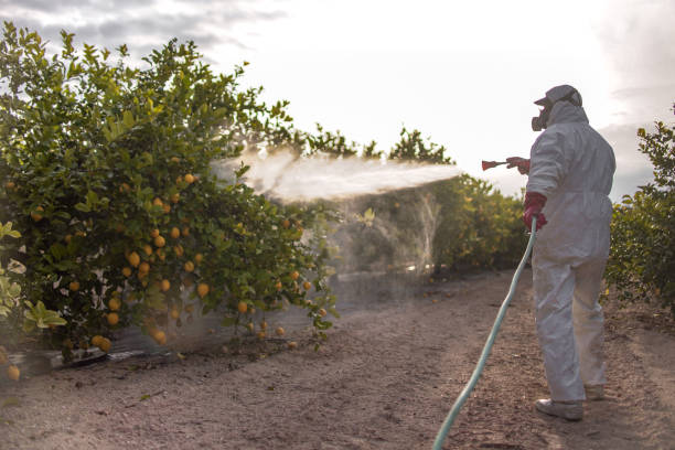 Best Cockroach Control Services  in Edgard, LA