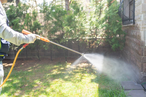 Best Insect Control  in Edgard, LA