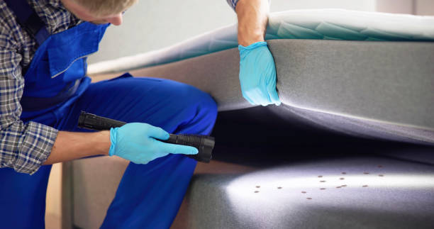 Best Rat Extermination Near Me  in Edgard, LA