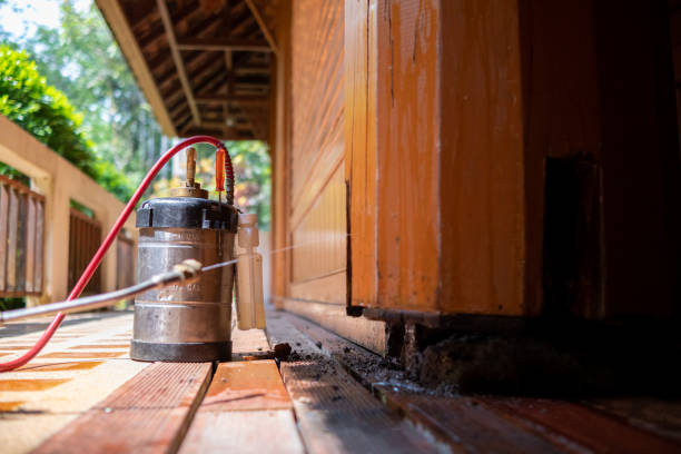 Best Ant Control Services  in Edgard, LA