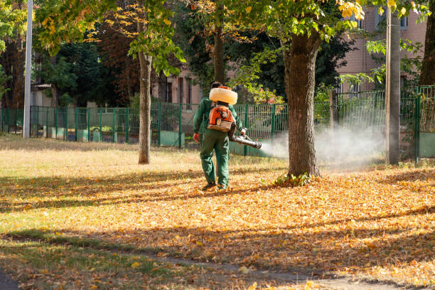 Best Bed Bug Extermination  in Edgard, LA