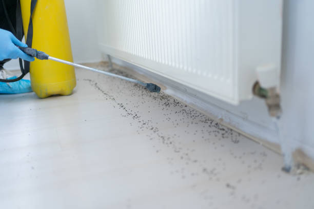 Best Exterminator Services  in Edgard, LA