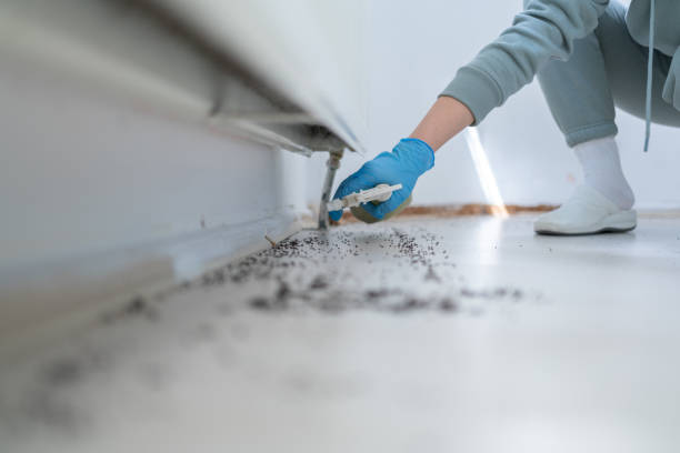 Best Pest Prevention Services  in Edgard, LA