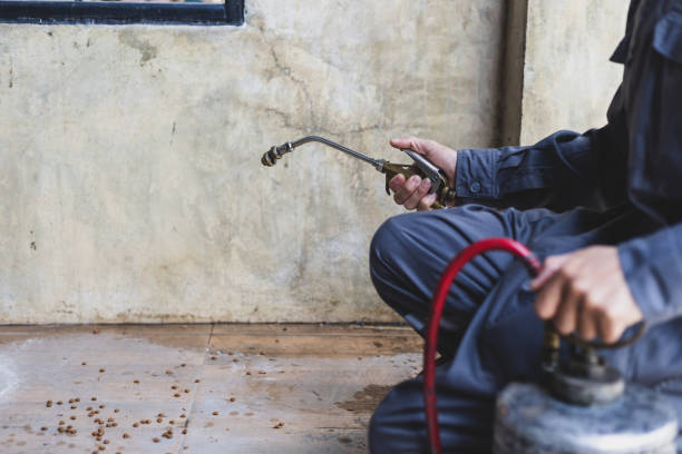 Best Ant Control Services  in Edgard, LA